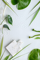 Water lily leaves and buds on off white background. Mockup with place for product on marble board....