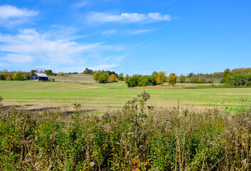 Agricultural land landscape in autumn