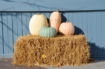 Pumpkins in a straw bales