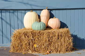Pumpkins in a straw bales
