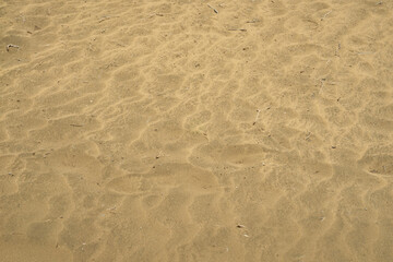 Sandy Dunes up close