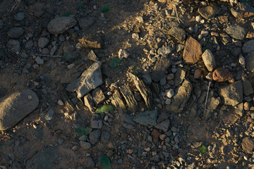 Rocky beach floor with rubish