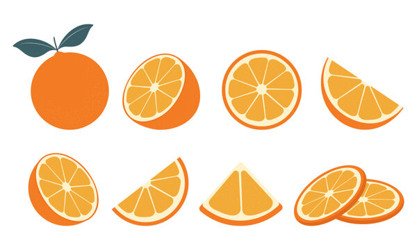 Big vector collection of fresh oranges. Orange fruit isolated on white background. Vector illustration for design and print