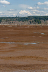 A portrait shot of Mount Rainier peak view from the Billy Frank Jr. Nisqually National Wildlife Refuge, WA, USA