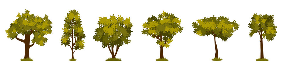 Set of cartoon green tree isolated on a white background. Vector elements for spring or summer landscape.