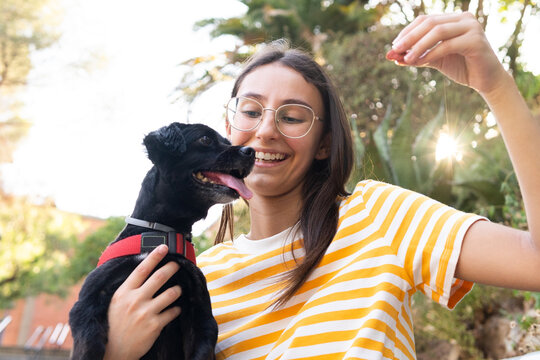Smiling woman feeding black puppy dog on bench