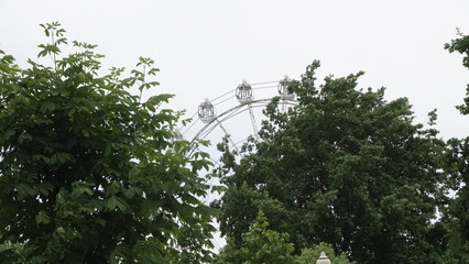 Green trees in the foreground. White ferris wheel. City Park. Big attraction. Resting-place. Light sky.