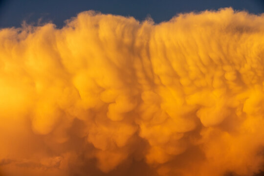 Huge mammatus cloud illuminated by the golden light of sunset. A mammatus cloud is a meteorological term applied to a cell pattern that amasses cloud masses at its base, developing cumulus