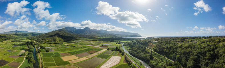 Taro Farms Hanalei, Hawaii