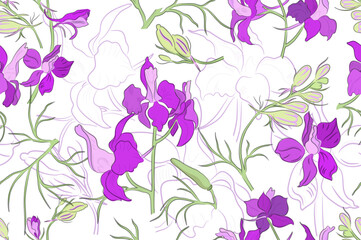 Seamless pattern with a colored Forking Larkspur