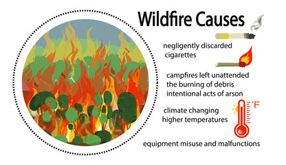 Wildfire causes vector illustration isolated on white background