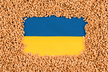 Wheat grain over Ukrainian blue and yellow flag. Global and European food crisis. World wheat grain...