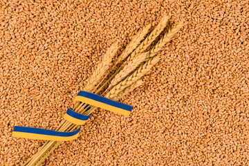Fototapeta na wymiar Ears of wheat with Ukrainian flag ribbon over grain as background with copy space. Global and European food crisis. World wheat grainand bread crisis. Delivery problems