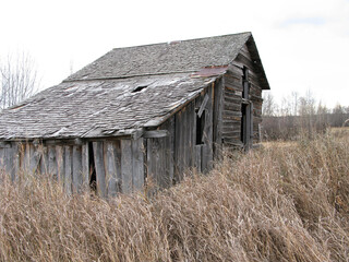 Obraz premium old barn in the field