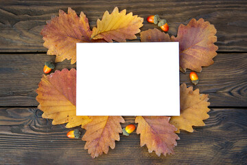 Background of autumn oak leaves and acorns on wooden boards with copy space. White card for text. Leaf texture, wood texture.