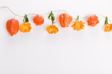 Autumn composition made of orange physalis and ball of twine on white background. Autumn, fall...