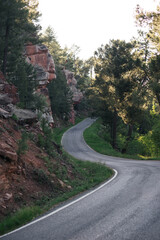Road with winding curves among forest.