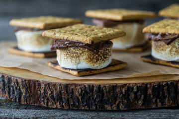 Marshmallow s'mores on a bark covered wooden board.