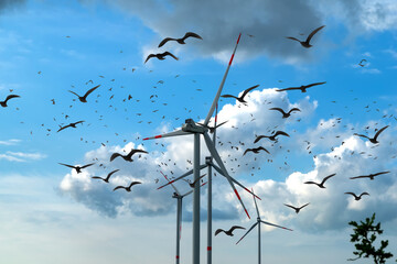 Symbolic image: birds flying near wind turbines. Protection of the environment, wind turbines can kill birds