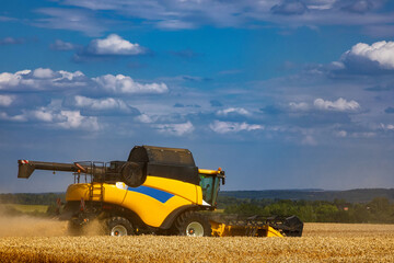 Combine harvester harvesting ripe wheat. Harvesting in Ukraine during the war and the world crisis...