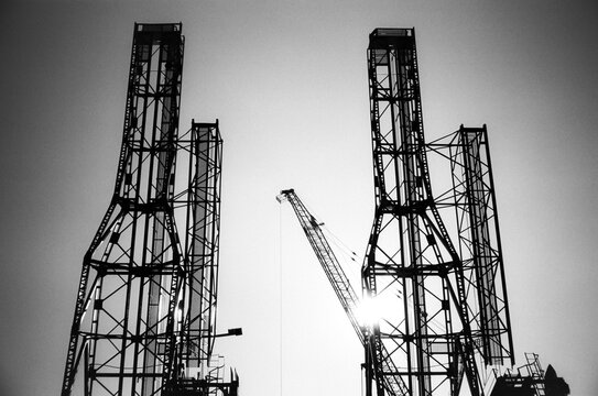 silhouette of a crane