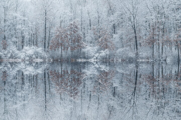Winter landscape of the snow flocked shoreline of Jackson Hole Lake with mirrored reflections in calm water, Fort Custer State Park, Michigan, USA