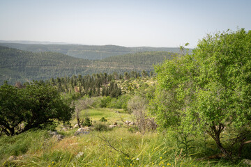 Fototapeta na wymiar A Landscape in the Judea mountains, Israel