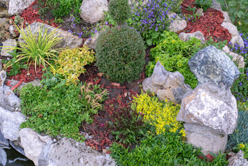 Beautiful ornamental garden in summer