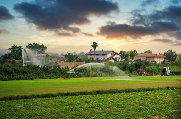 Watering machine waters a field during a drought period.