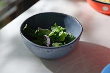 Close-up of freshly picked basil leaves - fragrant culinary herbs in a navy blue ceramic bowl on white table background