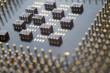 the microprocessor from the computer lies with its paws up. close-up