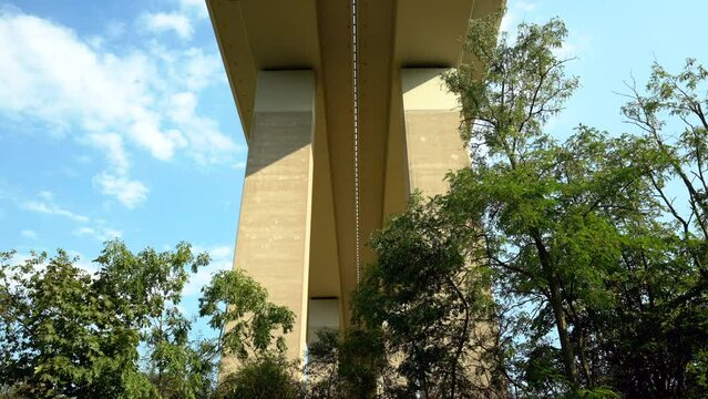 Trees growing beneath the A61 Autobahn bridge