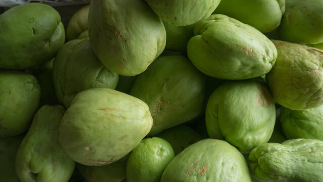 Freshly grown natral chayotes from the ground