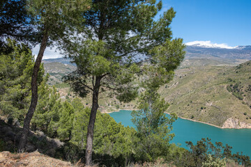View from the top on green lake surrounded by picturesque mountain valley with trees and bushes with blue sky and white clouds in background and big green tree in the foreground. Sunny summer day.