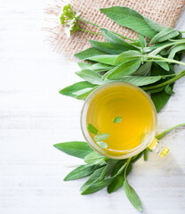 A glass of fresh sage. Herbal tea in a glass cup.