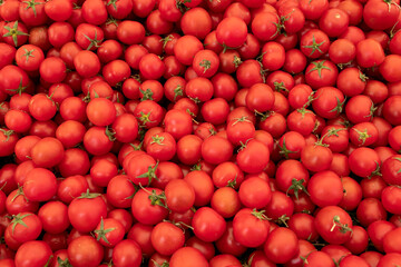 Many Ripe Red Tomatoes