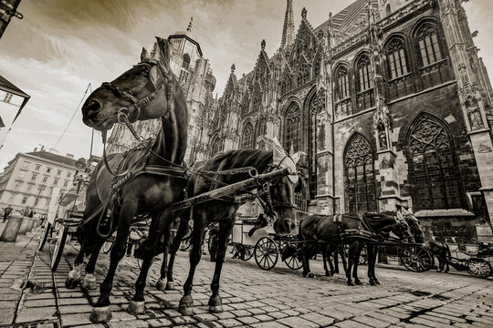 シュテファン大聖堂と馬車（ウィーン）