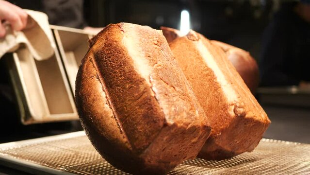 Bread loaves are taken out of the oven