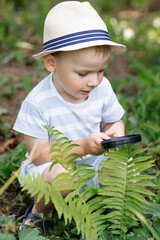 Summer holidays. A small child in a hat looks at the leaves with a magnifying glass. A preschool...