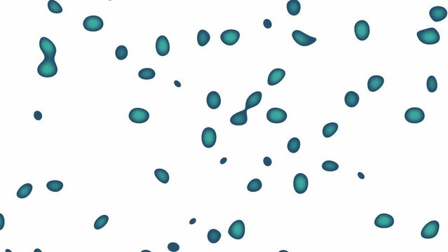 Slow flowing bright blue drops on white background. Liquid animation. Minimalistic banner and presentation template. Gradient textured round shapes. Technology concept. Abstract graphic design layout