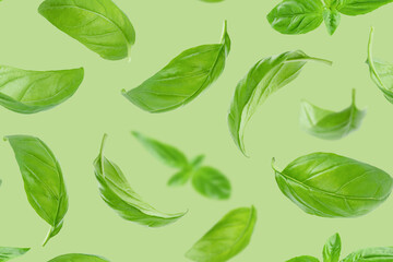 Seamless pattern of basil leaves flying over green background.