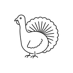 Turkey farm animal linear icon. Editable stroke