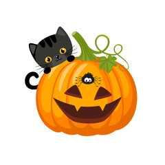 Halloween pumpkins with black cat and spider. Scary pumpkin with smile. Vector illustration isolated on white background. Halloween and autumn concept.