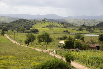 landscape of region