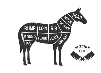 Horse scheme cuts. Butcher diagram poster. Meat diagram scheme illustration. Cuts of horse meat. Farm animal silhouette.