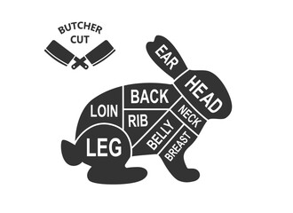Rabbit scheme cuts. Butcher diagram poster. Meat diagram scheme illustration. Cuts of rabbit meat. Farm animal silhouette.
