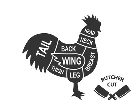 Rooster scheme cuts. Butcher diagram poster. Meat diagram scheme illustration. Cuts of rooster meat. Farm animal silhouette.