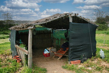 A makeshift shed near the ex Snia pond in Rome