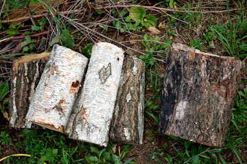 short logs ready to be chopped with an ax, close-up