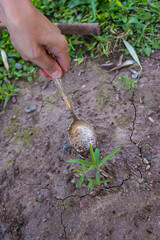 person finishing planting young vegetation in the ground with a metal spoon
